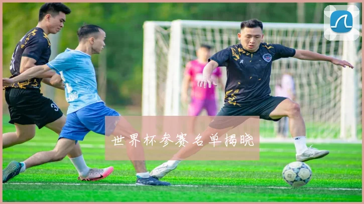 世界杯参赛名单揭晓