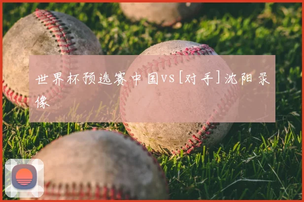 世界杯预选赛中国vs[对手]沈阳录像