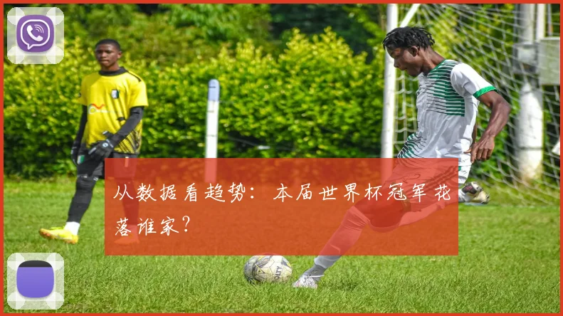 从数据看趋势：本届世界杯冠军花落谁家？
