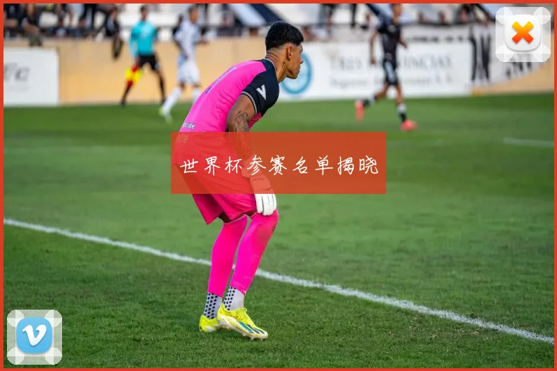 世界杯参赛名单揭晓