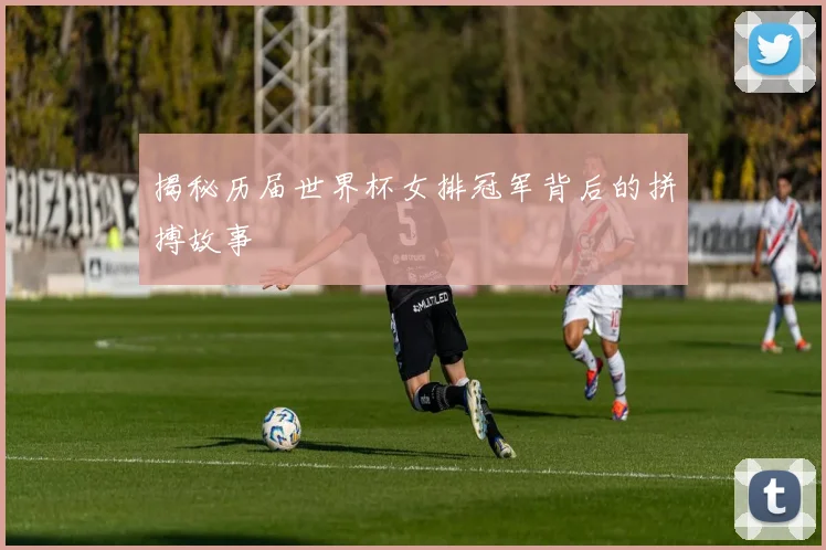 揭秘历届世界杯女排冠军背后的拼搏故事
