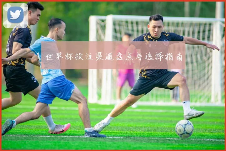 世界杯投注渠道盘点与选择指南