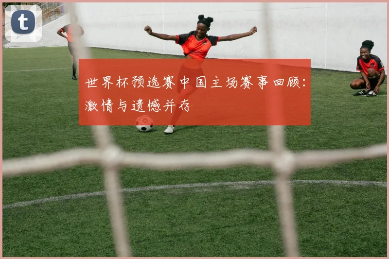 世界杯预选赛中国主场赛事回顾：激情与遗憾并存