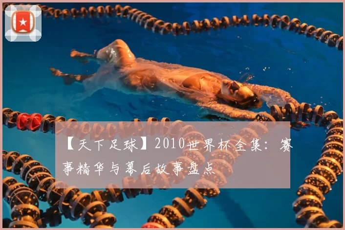 【天下足球】2010世界杯全集:赛事精华与幕后故事盘点