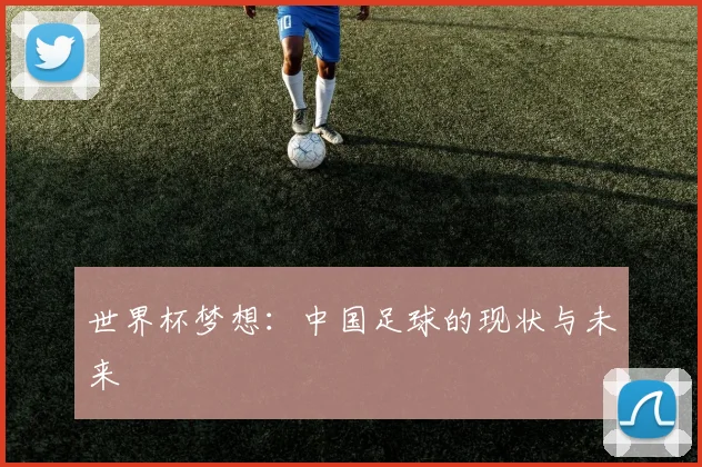 世界杯梦想：中国足球的现状与未来