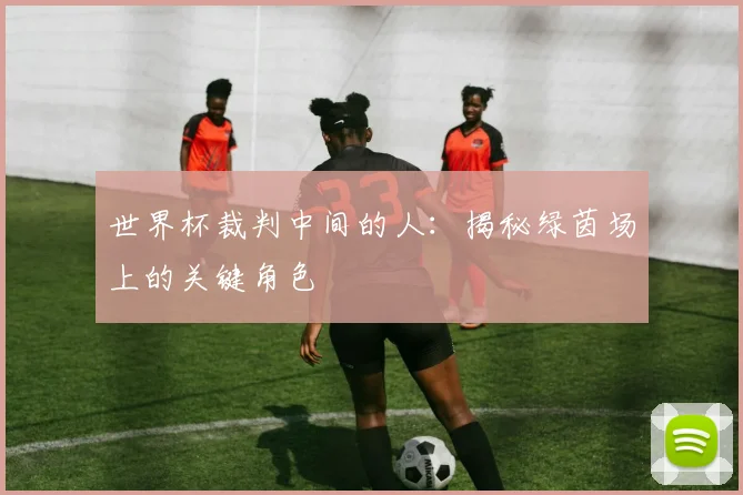世界杯裁判中间的人：揭秘绿茵场上的关键角色