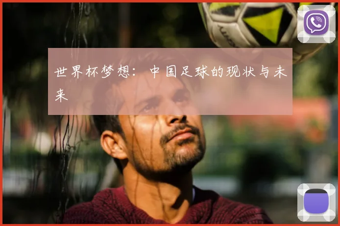 世界杯梦想：中国足球的现状与未来