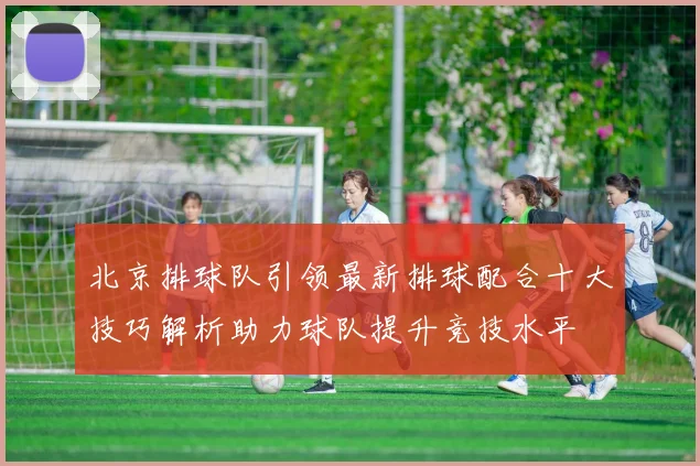 北京排球队引领最新排球配合十大技巧解析助力球队提升竞技水平