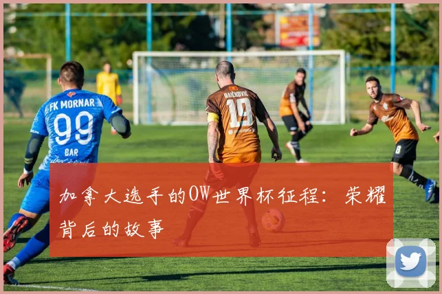 加拿大选手的OW世界杯征程：荣耀背后的故事