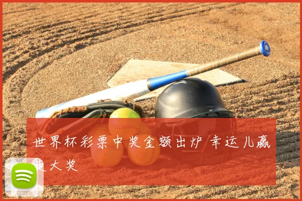 世界杯彩票中奖金额出炉 幸运儿赢走大奖