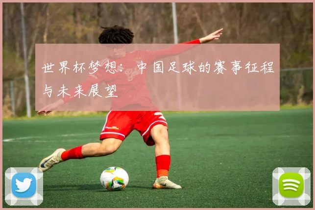 世界杯梦想：中国足球的赛事征程与未来展望