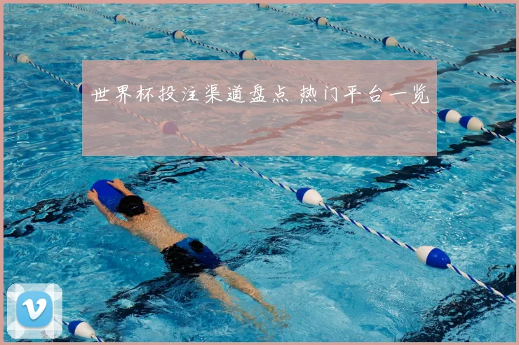 世界杯投注渠道盘点 热门平台一览